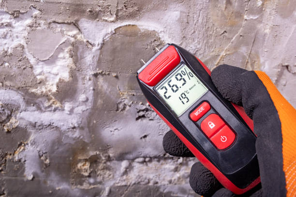 Best Certified Mold Removal  in Manchester, WA