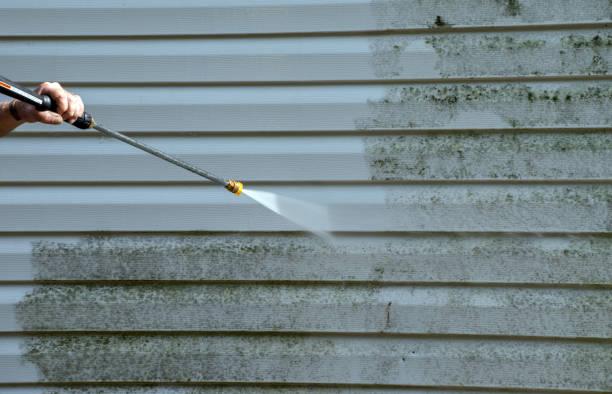 Best Black Mold Removal  in Manchester, WA