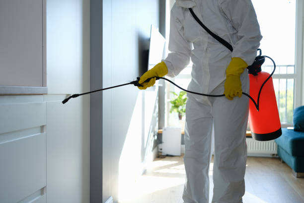Best Office Mold Removal Services  in Manchester, WA