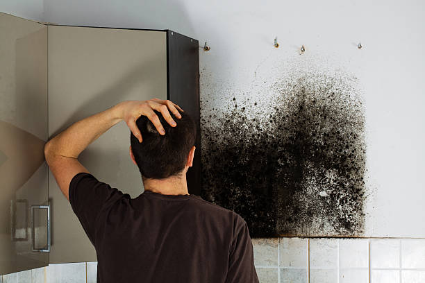 Best Emergency Mold Removal  in Manchester, WA
